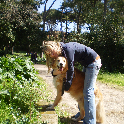 nikyta1978's profile picture. 