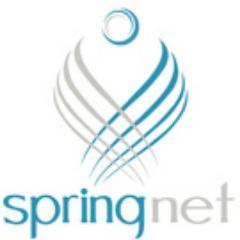 SpringNet , online solutions company at  Dubai,UAE.