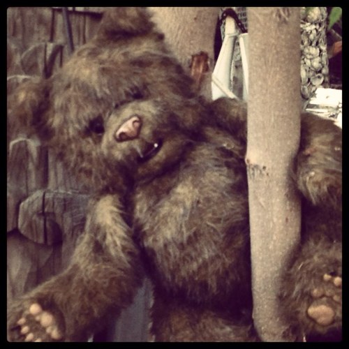 angelina419's profile picture. 