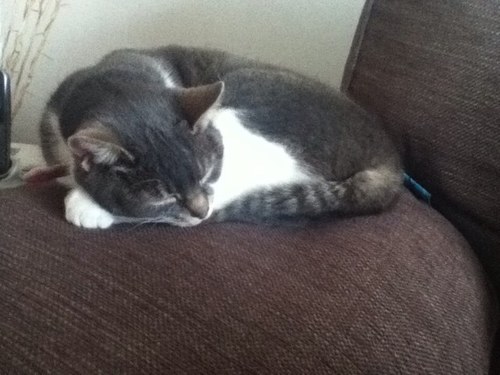 timeele's profile picture. 