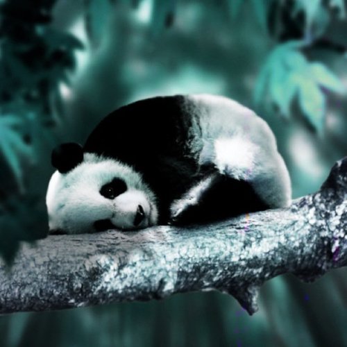 AinsworthDianna's profile picture. Wife, mother to a son in heaven and a daughter on earth, lover of Jesus and thankful God is in control and I am not