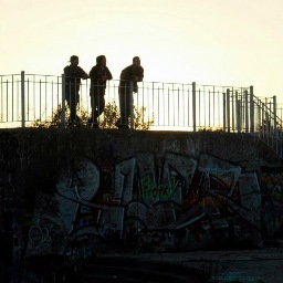 prhoehn's profile picture. 