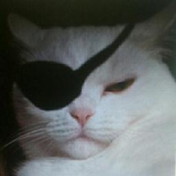 stellarum1's profile picture. 