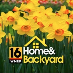 The official Twitter for WNEP's Home & Backyard, the leading home & garden TV show in Northeast & Central PA. Join us Saturday at 9AM on WNEP & 1:30PM on WPHL!