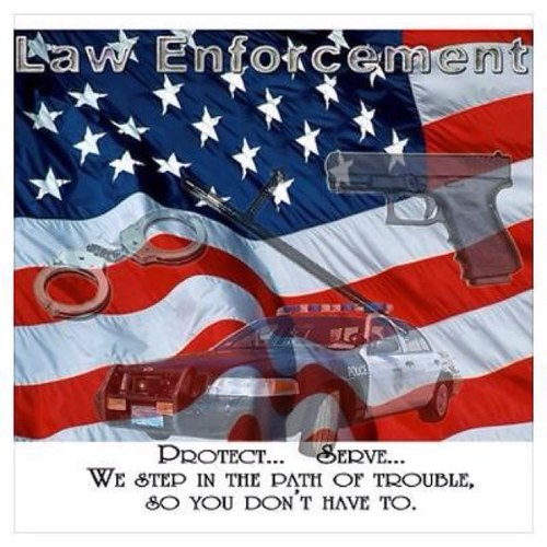 CardarelliTom's profile picture. 