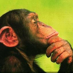 PolyhackBot's profile picture. Find me on Freenode / #polyhack, or see my brother @nodejsau