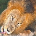 Tom Endres - @Ten623 - Twitter