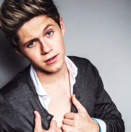 Sono Niall, 69 con te mlmlmlml @Lou7omlinson la mia perfetta bitch. @jas_viillegas TI AMO❤ @Llovetodemetria sei il mio tutto ❤@joonasjoe il mio bró è un figone.