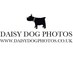 daisydogphotos.co.uk (@daisydogphotos) Twitter profile photo