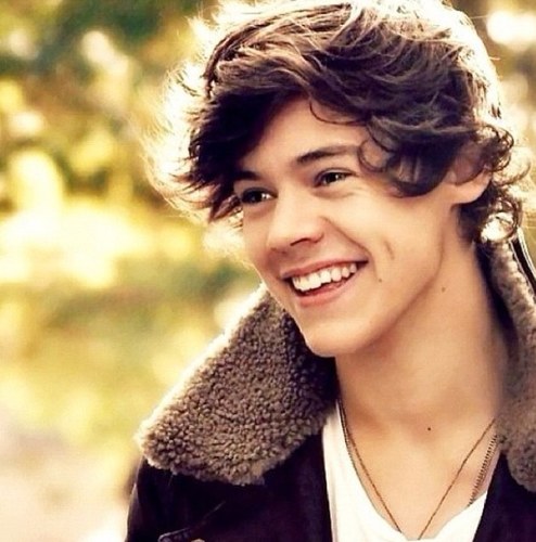harrysgirlonly's profile picture. Here for the boys ❤ ill support them always !! Ask for a follow back :)