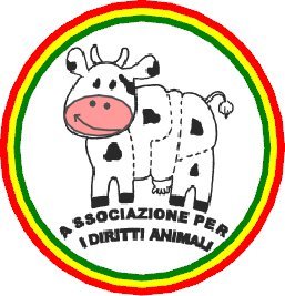 L'Associazione Apida in difesa degli animali organizza eventi, conferenze, corsi di cucina veg e tante altre attività! follow us e scopri il prossimo incontro