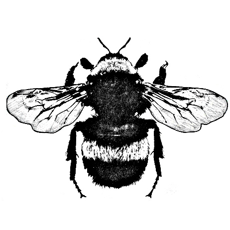 BeehiveFTL's profile picture. Small batch roasted coffee, wall hanging weavings, and crafts. Based in tropical South Florida.