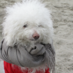 Erin Berman (@erin_berman) Twitter profile photo Erin Berman (@erin_berman) Twitter profile photo