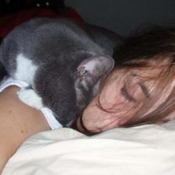 CstLlodArgon's profile picture. Abrazando el final!!!...