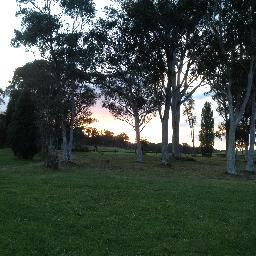 edinglassie's profile picture. 