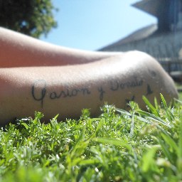 donatoelturro's profile picture. j