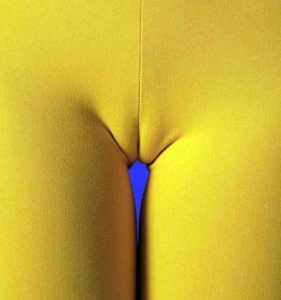 Zebrapiss's profile picture. Zebra Piss - Yellow and  Wet - best to be avoided