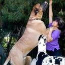 Cecile Watts - @CecileWatts10 - Twitter