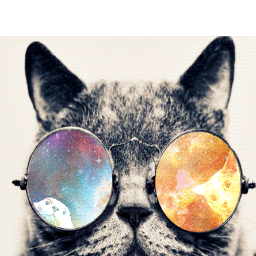 JuliSantillan01's profile picture. 