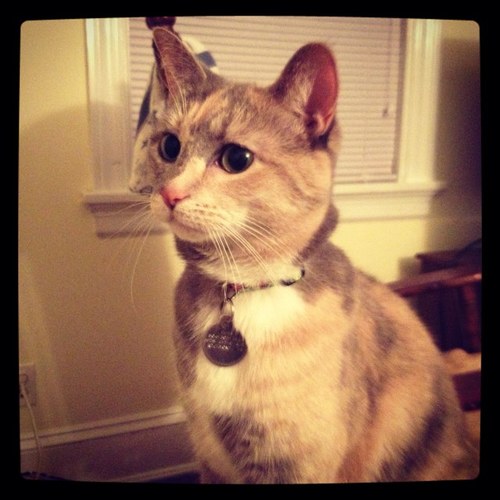 cmclark923's profile picture. 