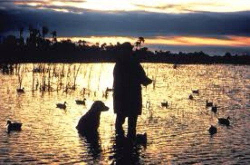 For Duck Hunters everywhere