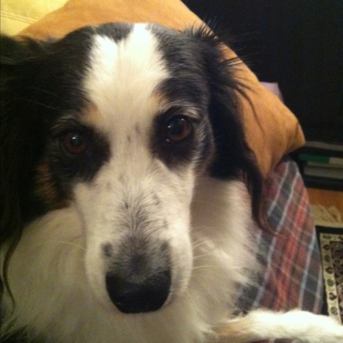 lydiaknows1's profile picture. 