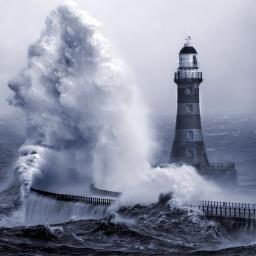 SquallyDoc's profile picture. 