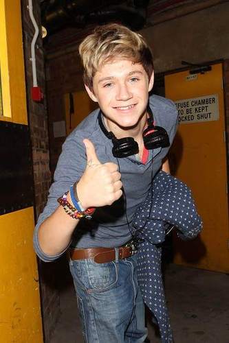 hy my name is syasya and I really really love niall ;)
                 3 really really love niall 3