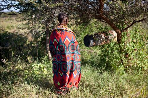 Bees_wo_Borders's profile picture. Bees Without Borders is a 501(c)(3) founded by Andrew Cote, using bees as poverty alleviation from Brooklyn to Baghdad