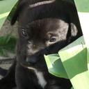 Susie Kessler - @skessler_mvnu - Twitter