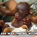 Daniel Drummond - @DanDrummR - Twitter