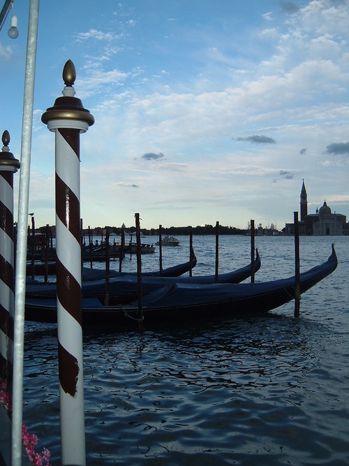 LJMP's profile picture. 