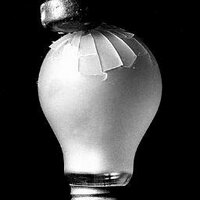 Thayer Patterson (@thayerpatterson) 's Twitter Profile