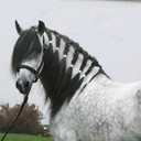 م ــهره (@0mahra0) Twitter