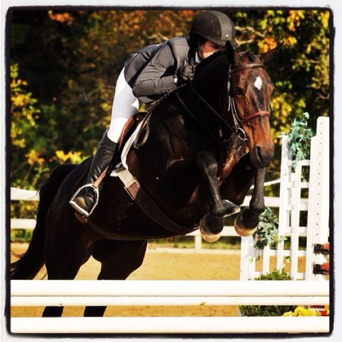 4SaleFarm's profile picture. 