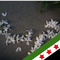 NesreenSays's profile picture. Syrian Canadian living in the desert of Riyadh.. Future Journalist to be ..#SyrianRevolution is what I am proud to be part of!