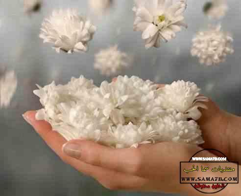 استغفر الله العظيم واتوب اليه
