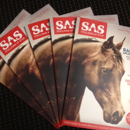 Australia's registry for performance, pleasure and sport horse stallions presented in a beautiful coffee table style publication.