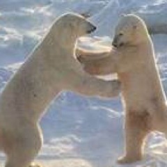 MommyofPlayer2's profile picture. 