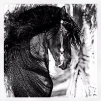 Rousseau Photography (@crousseauphoto) 's Twitter Profile