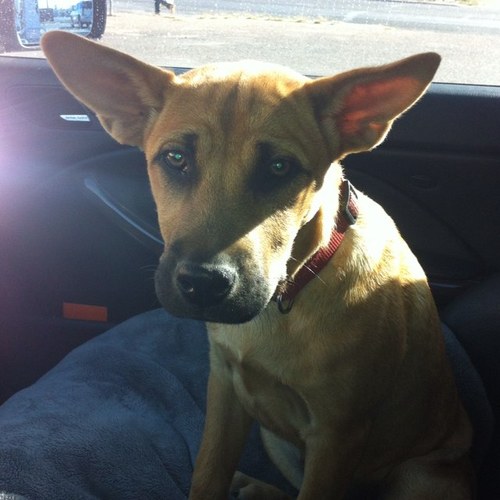 BlakeCurry1's profile picture. 