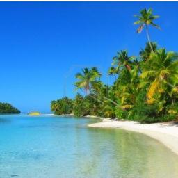 DroomxPlaatsen_'s profile picture. Nu je onze bio leest, volg dan ook meteen/jongen/yolo/ tweets #GoogleSwag ! 
Bro : @swaggerzinnen00