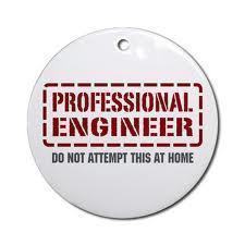 Professional Engineer (Civil Design)