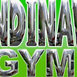 SCANDINAVIAGYMM's profile picture. 