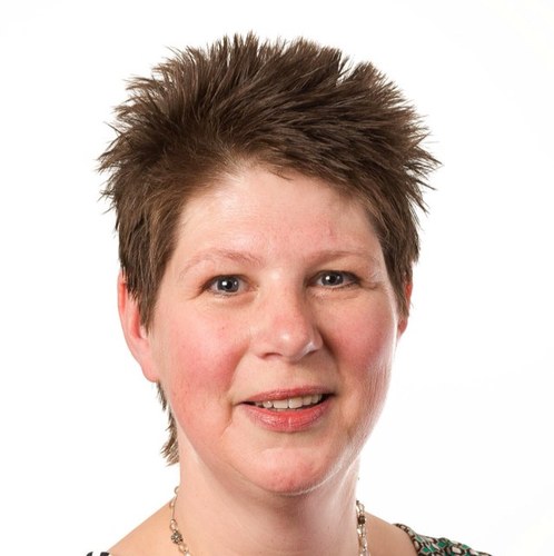 clapap's profile picture. Flevo Solar Wash B.V. | Green Belt in Lean