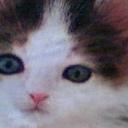 Janet Ferguson - @JanetFerguson7 - Twitter