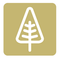 timbatree (@timbatree) 's Twitter Profile