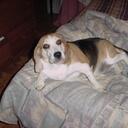 Jaime Phelps - @lolagirl1976 - Twitter