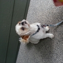 Ramon Nichols - @monynichols - Twitter