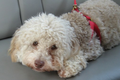 EstherAnn1's profile picture. Live tweeting and making observations since 2009.
Instagram: @EstherAnn1